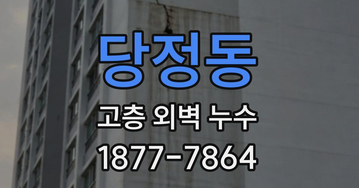 당정동 고층 외벽 누수