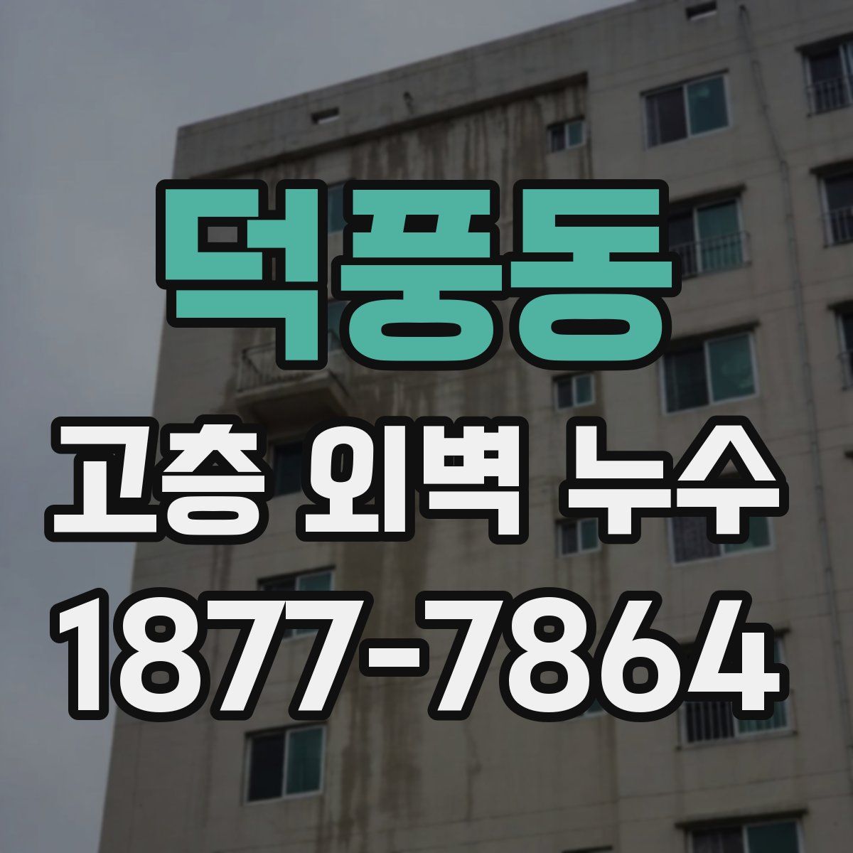 덕풍동 고층 외벽 누수
