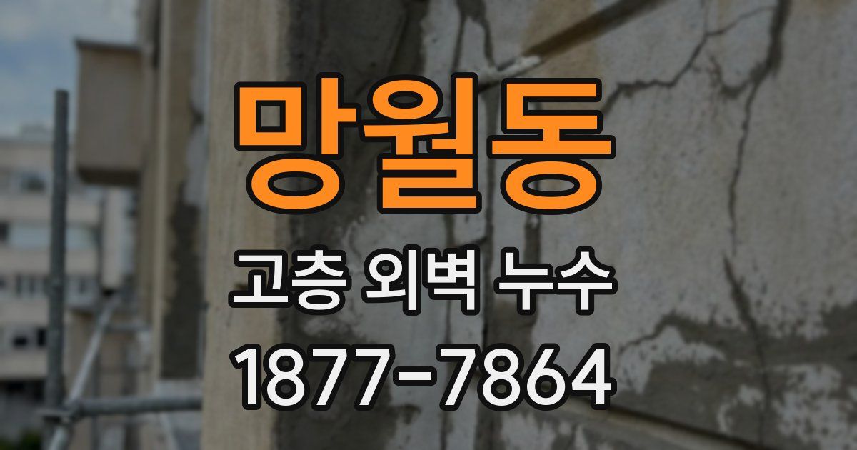 망월동 고층 외벽 누수