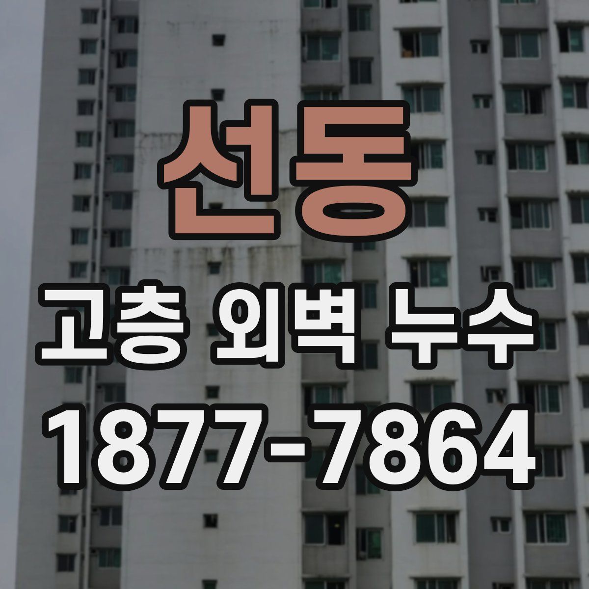 선동 고층 외벽 누수
