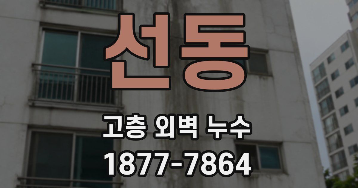 선동 고층 외벽 누수