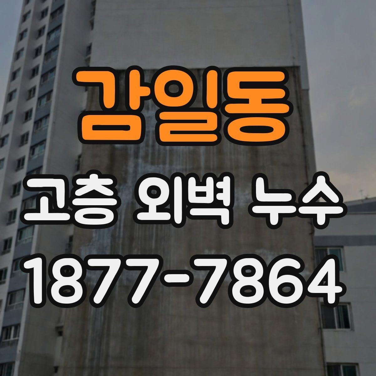 감일동 고층 외벽 누수 비교 견적을 볼 때 유의할 점