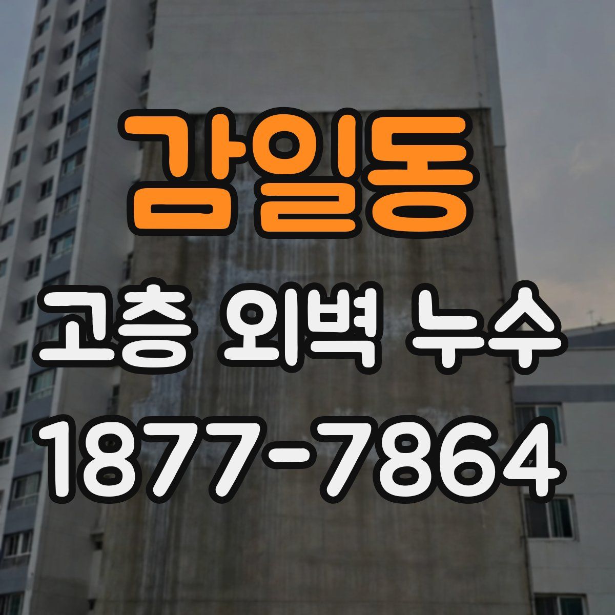 감일동 고층 외벽 누수