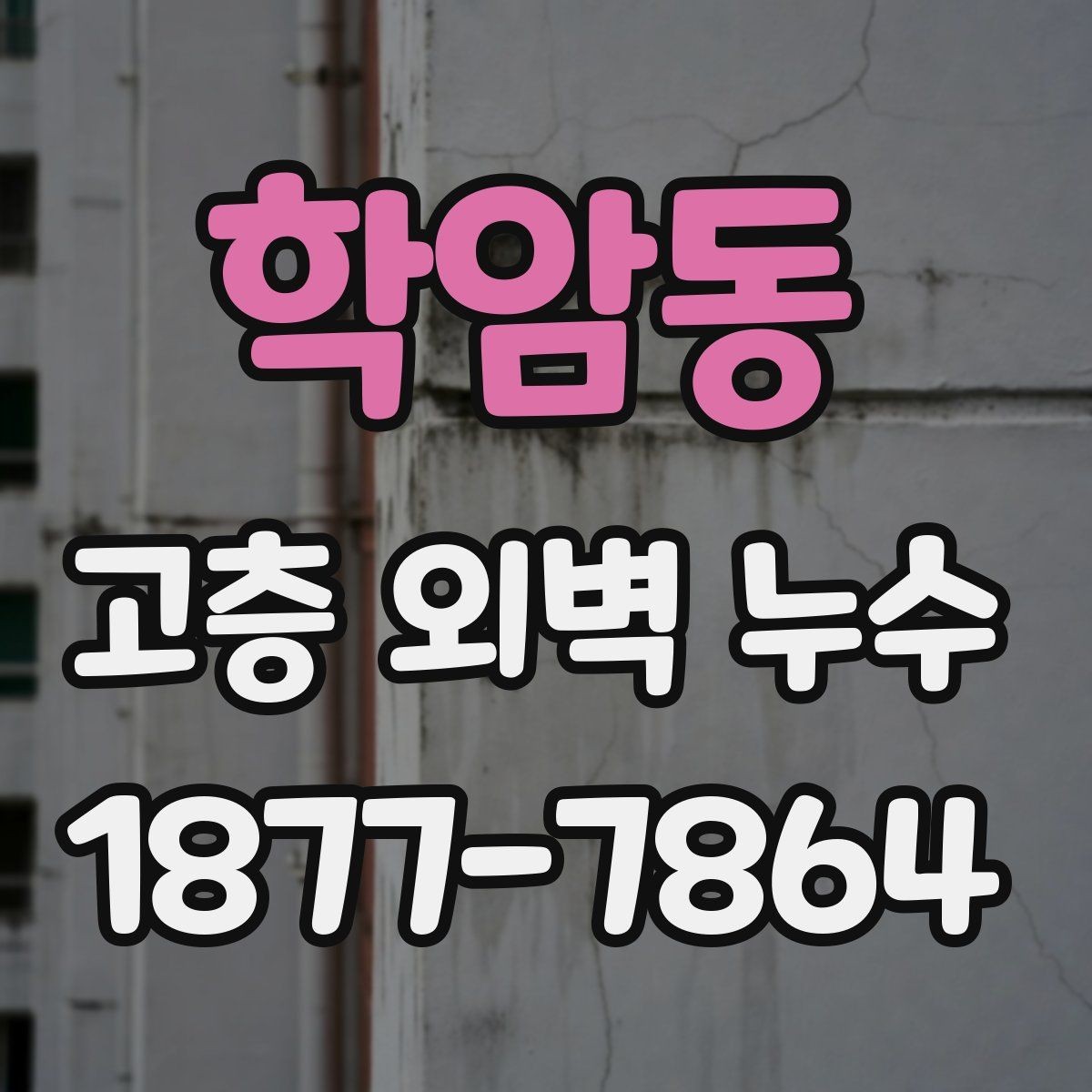학암동 고층 외벽 누수 업체 선정 시 살펴볼 항목