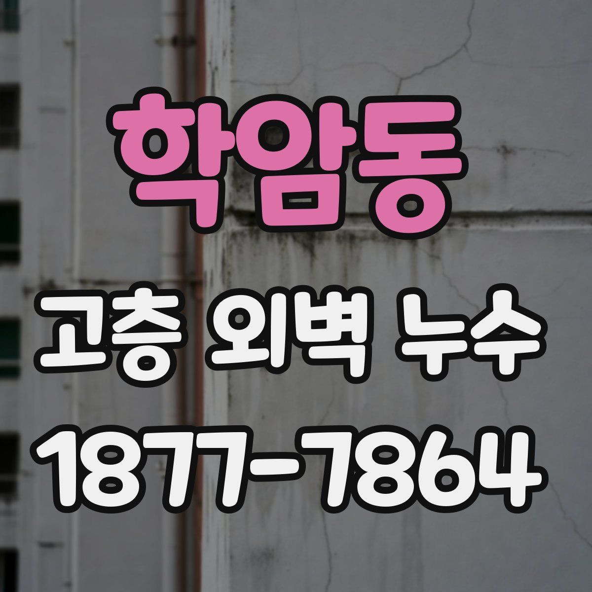 학암동 고층 외벽 누수