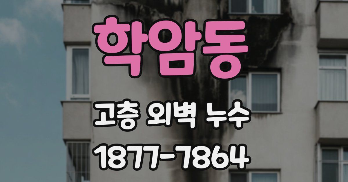 학암동 고층 외벽 누수