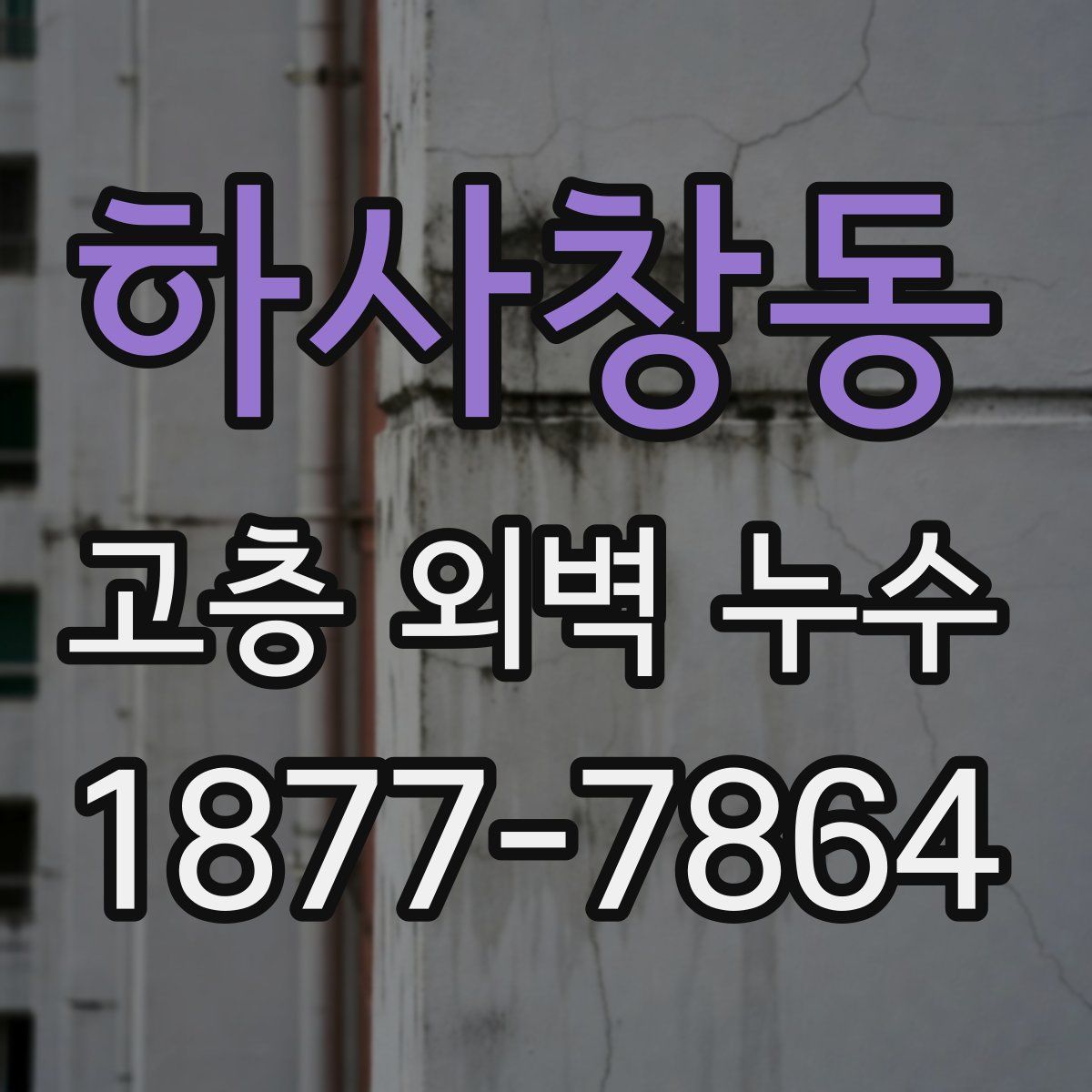 하사창동 고층 외벽 누수