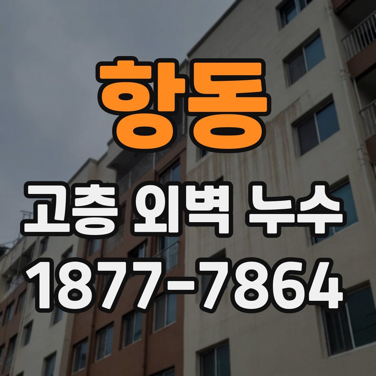 항동 고층 외벽 누수