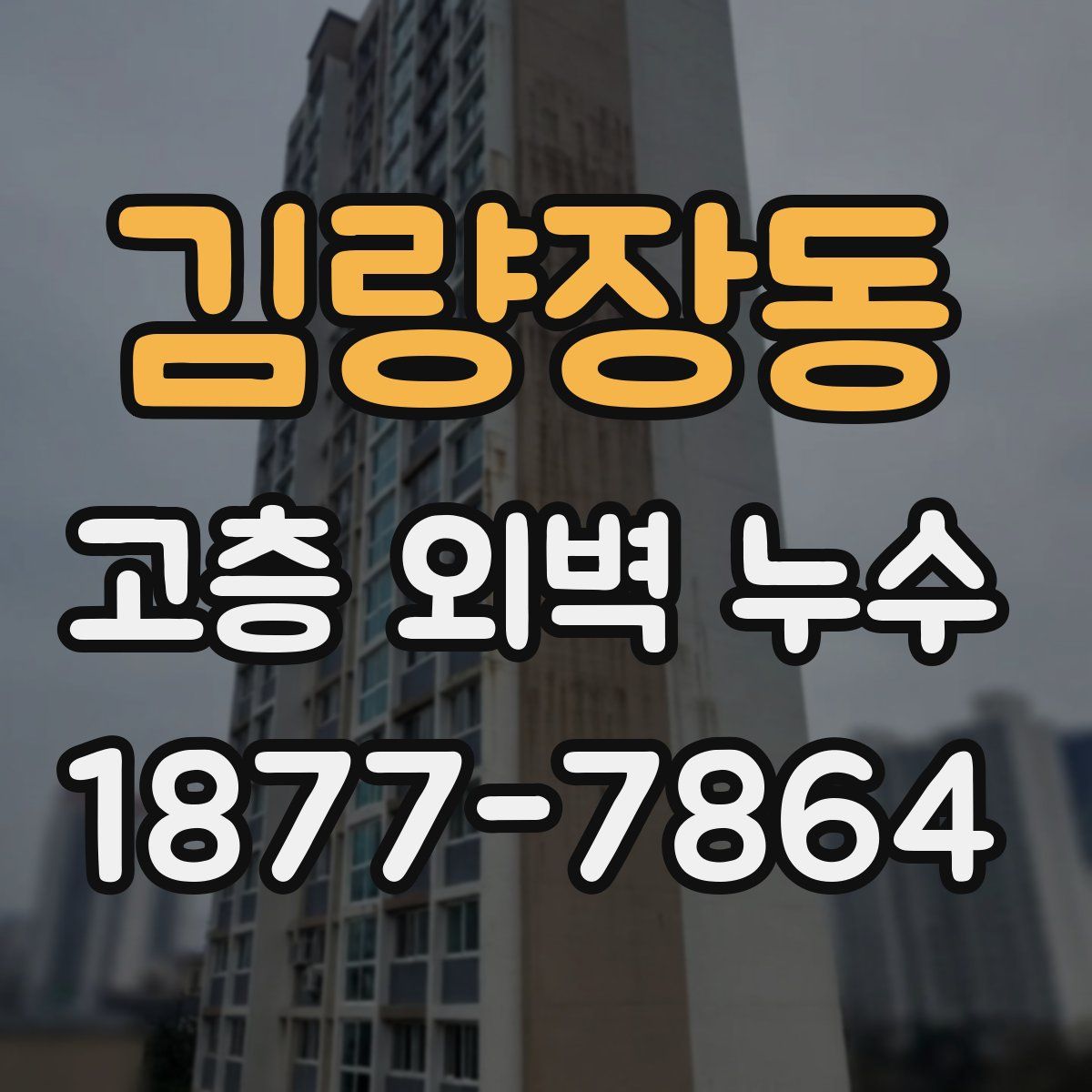 김량장동 고층 외벽 누수
