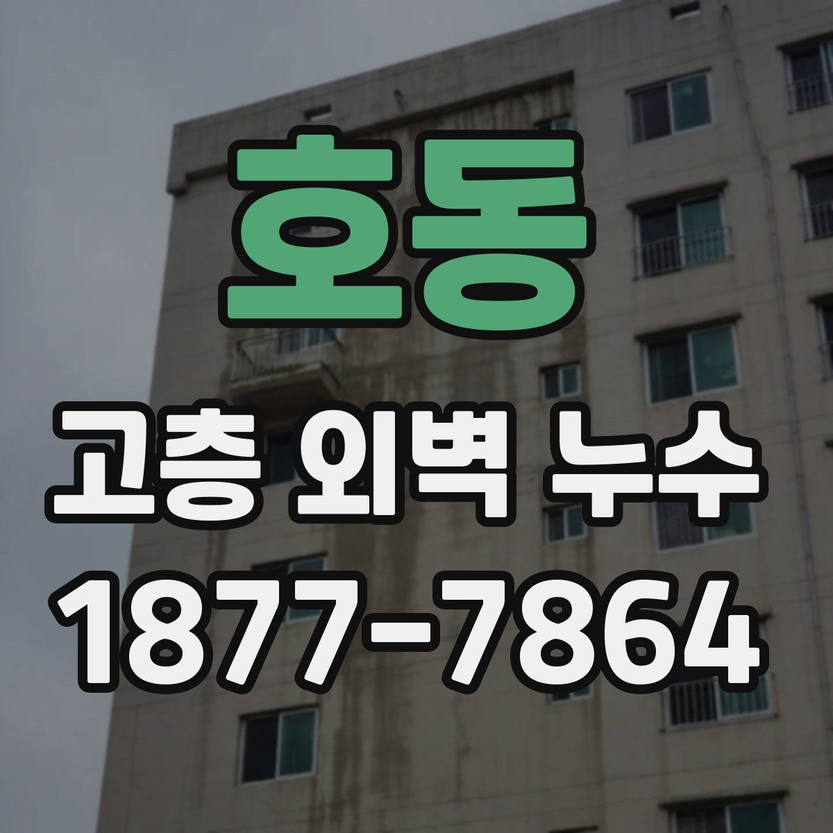 호동 고층 외벽 누수