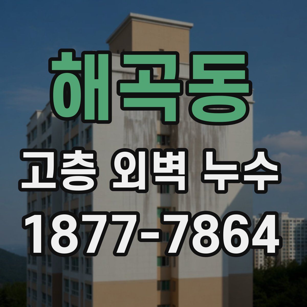 해곡동 고층 외벽 누수