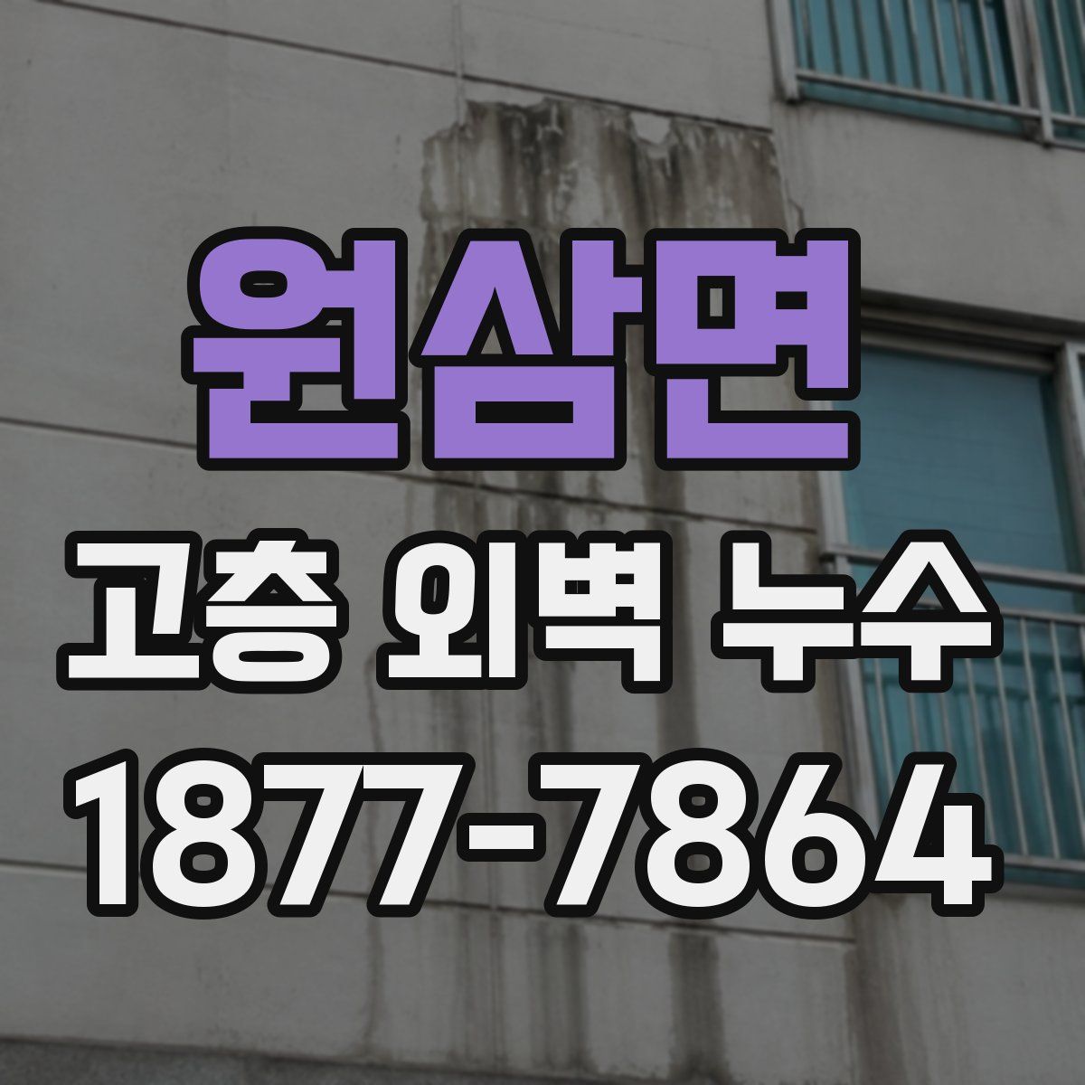 원삼면 고층 외벽 누수