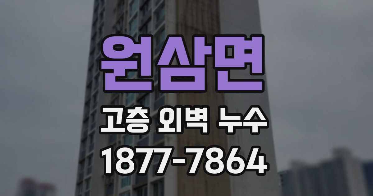 원삼면 고층 외벽 누수