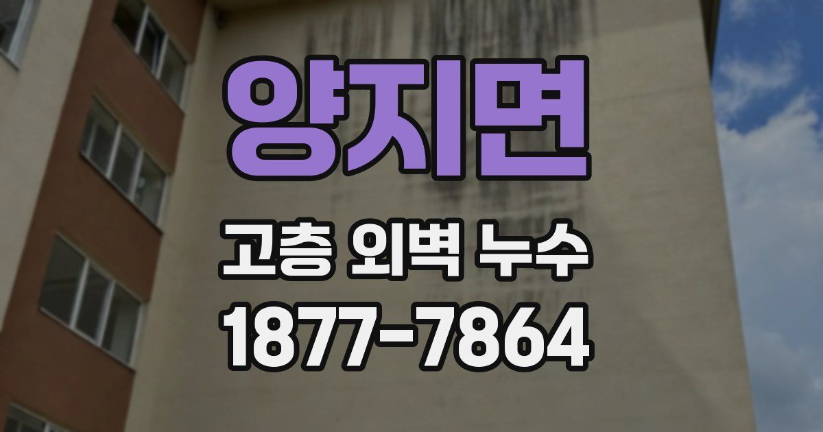양지면 고층 외벽 누수