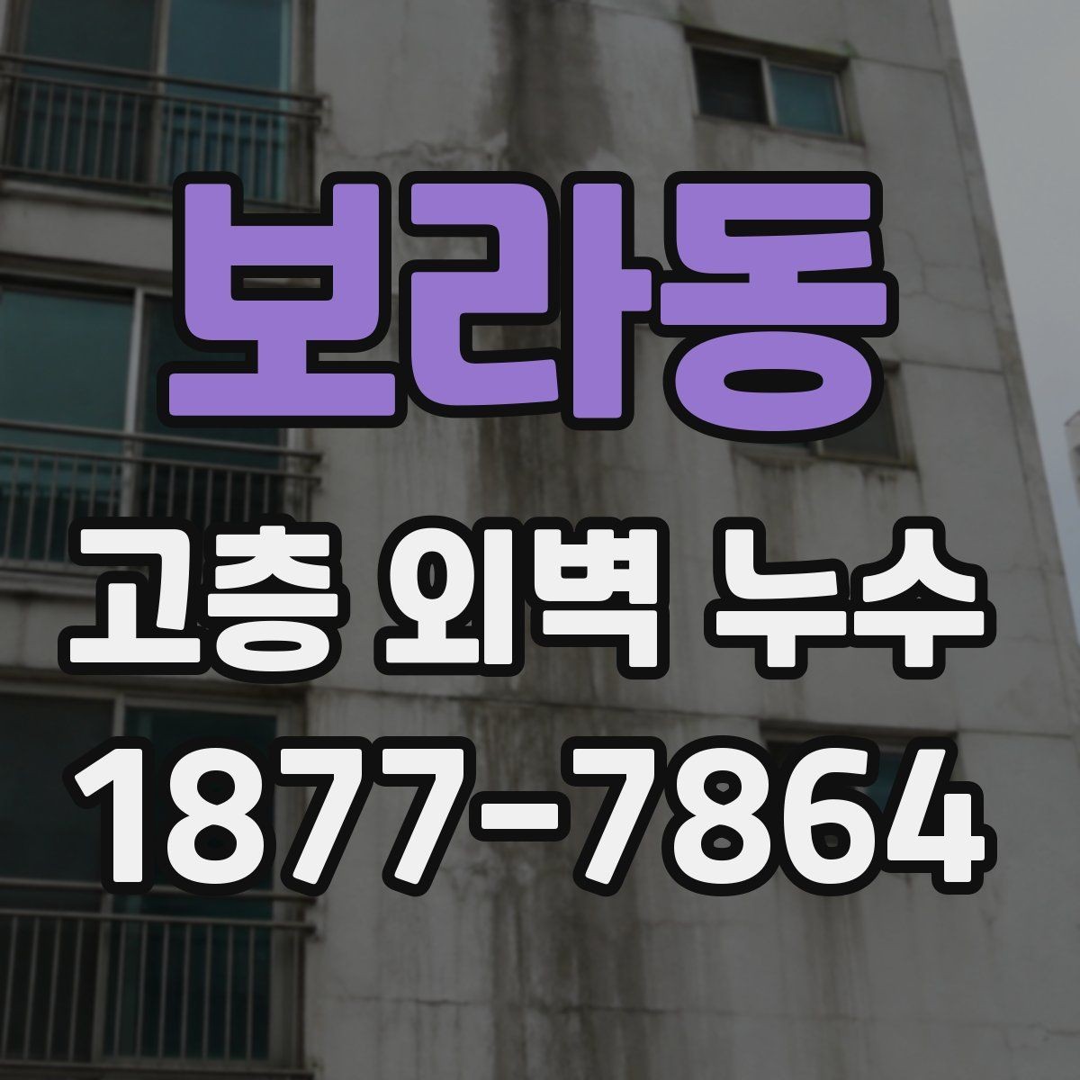 보라동 고층 외벽 누수 보수 전 현장 상황을 읽는 법