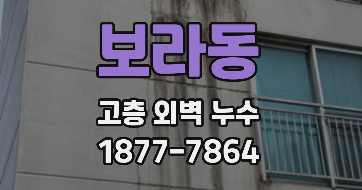 보라동 고층 외벽 누수
