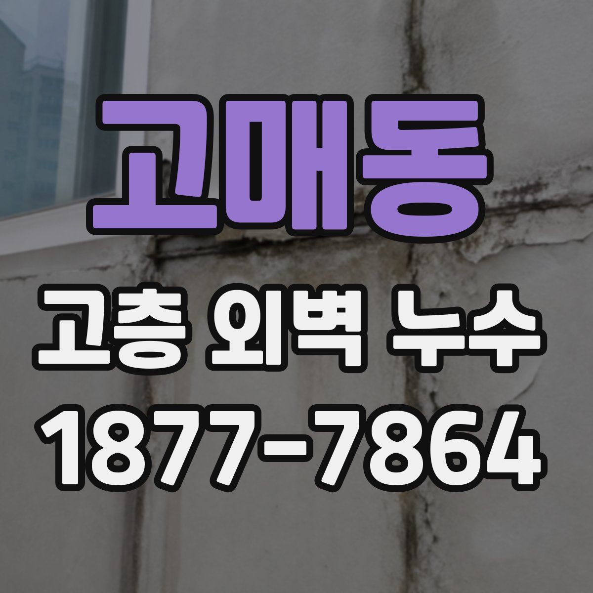 고매동 고층 외벽 누수