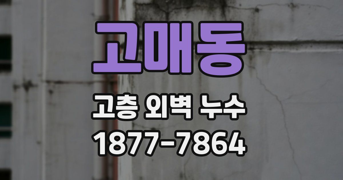 고매동 고층 외벽 누수
