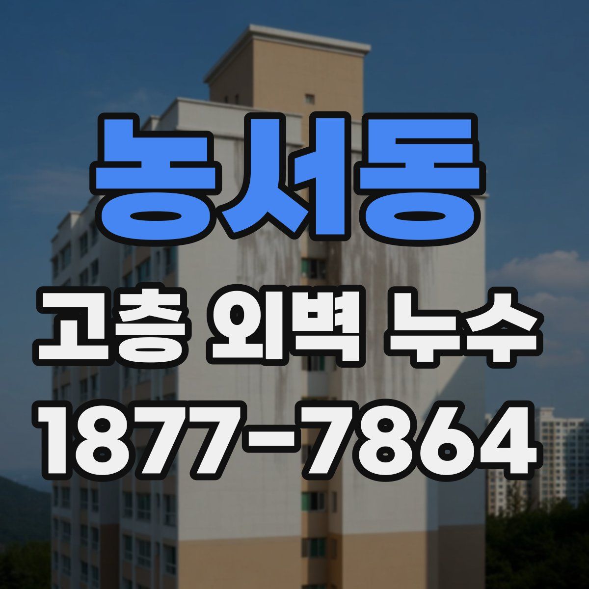 농서동 고층 외벽 누수