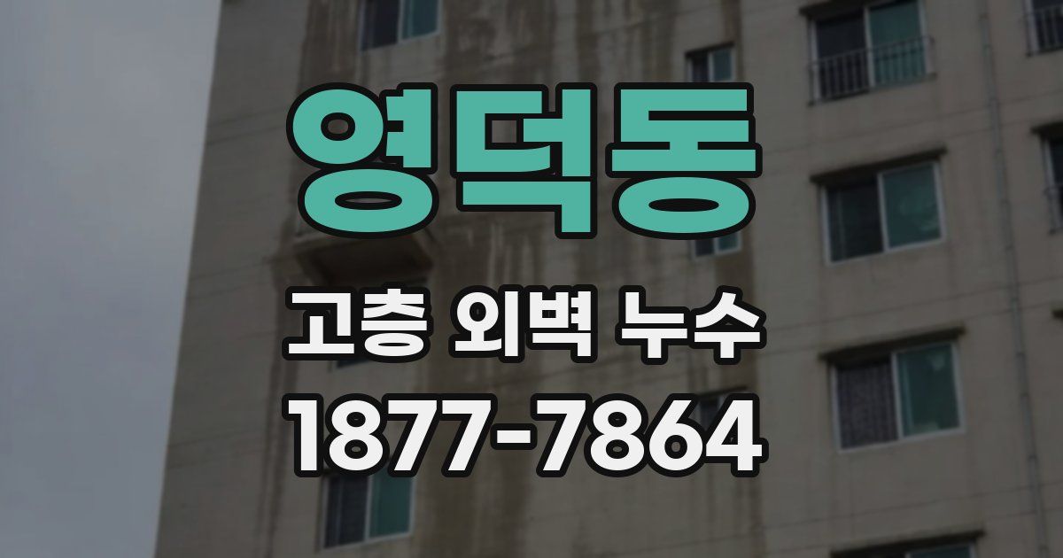 영덕동 고층 외벽 누수