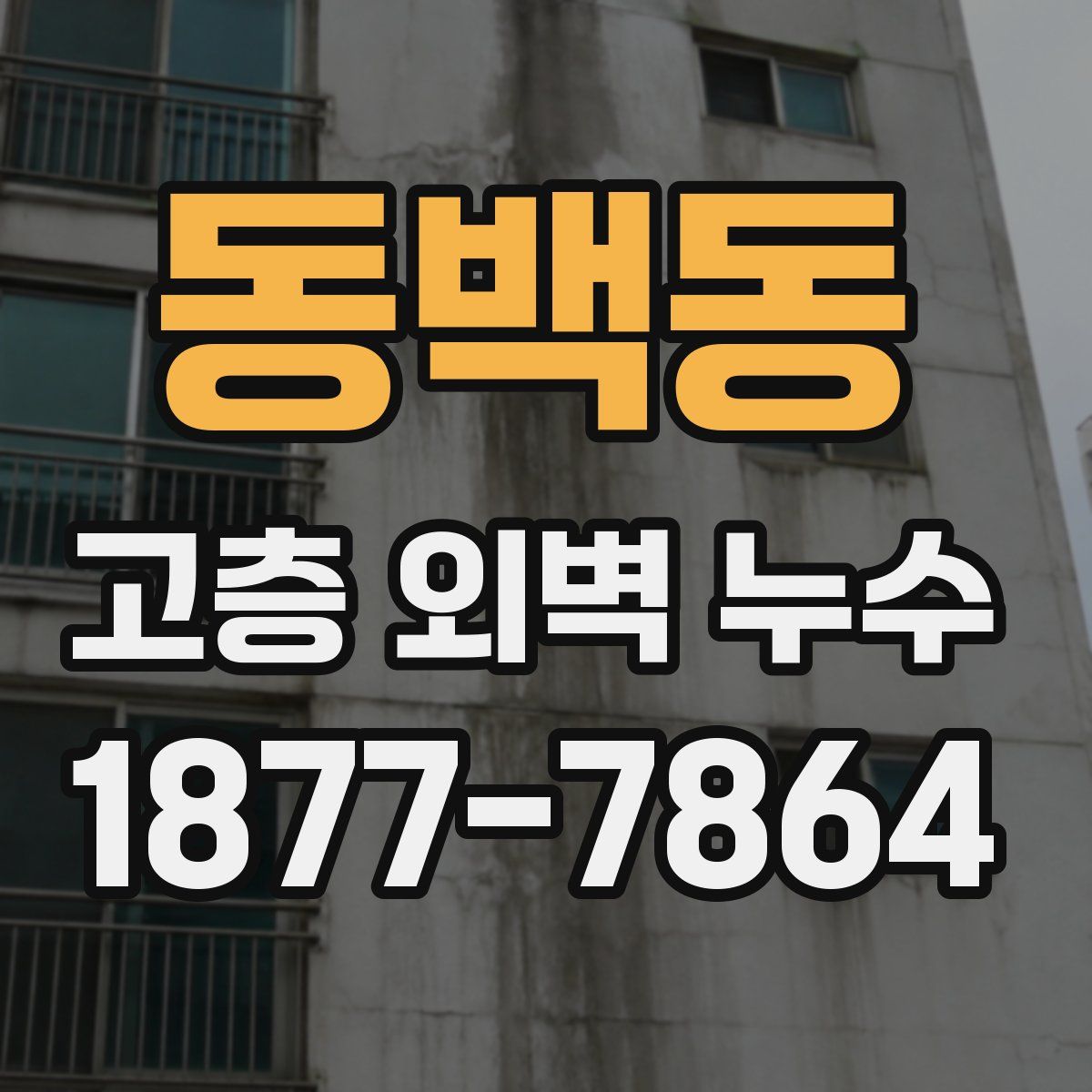 동백동 고층 외벽 누수