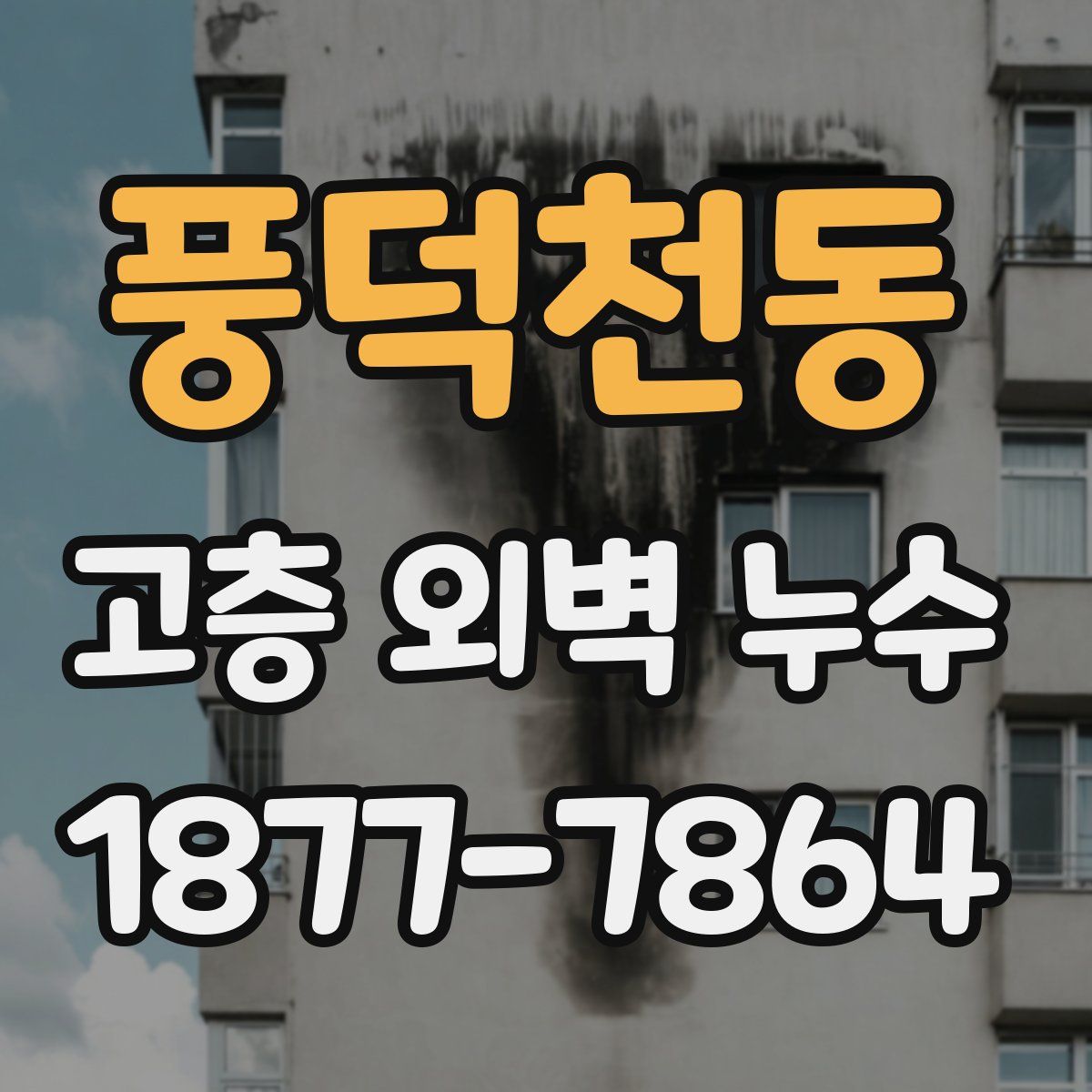 풍덕천동 고층 외벽 누수