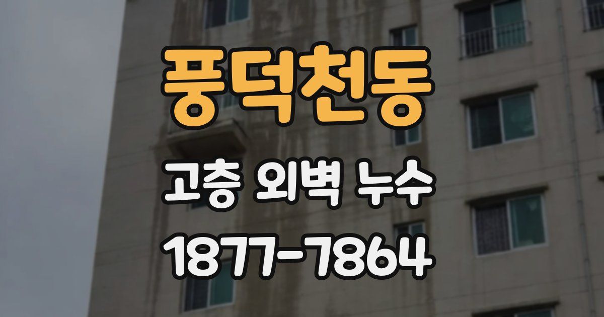풍덕천동 고층 외벽 누수