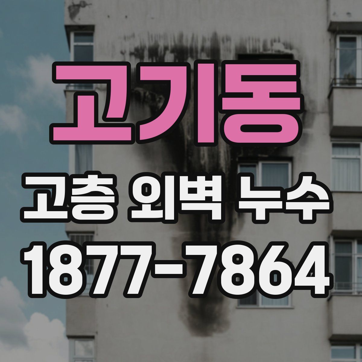 고기동 고층 외벽 누수