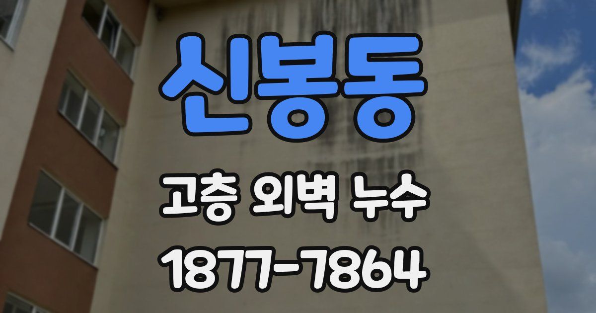 신봉동 고층 외벽 누수