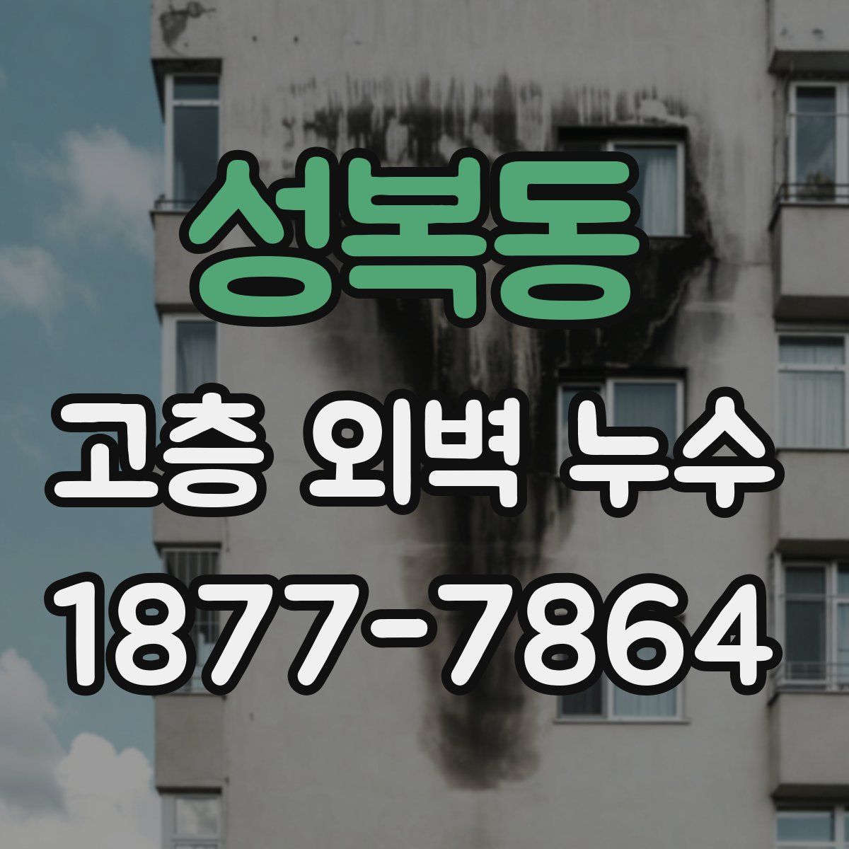 성복동 고층 외벽 누수