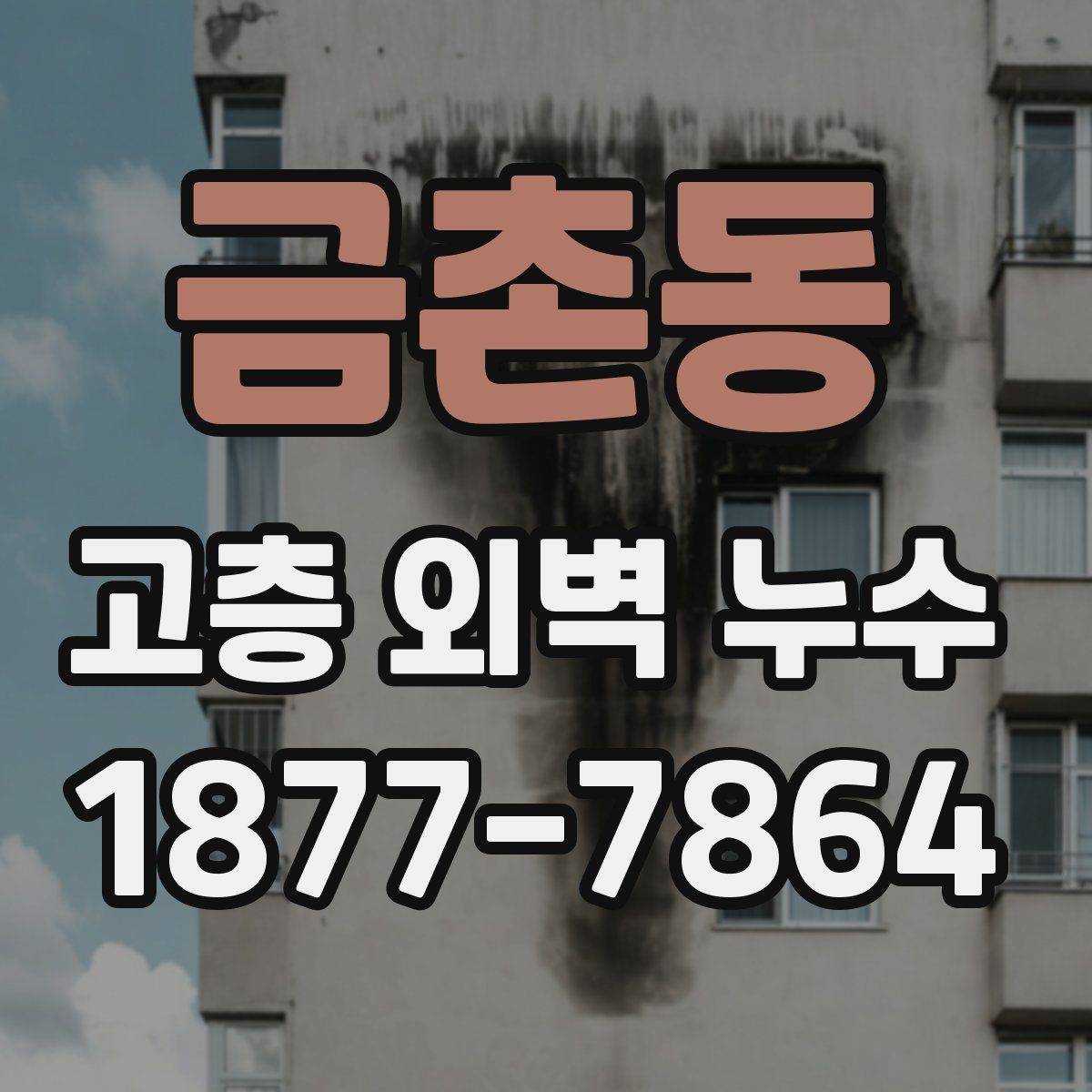 금촌동 고층 외벽 누수