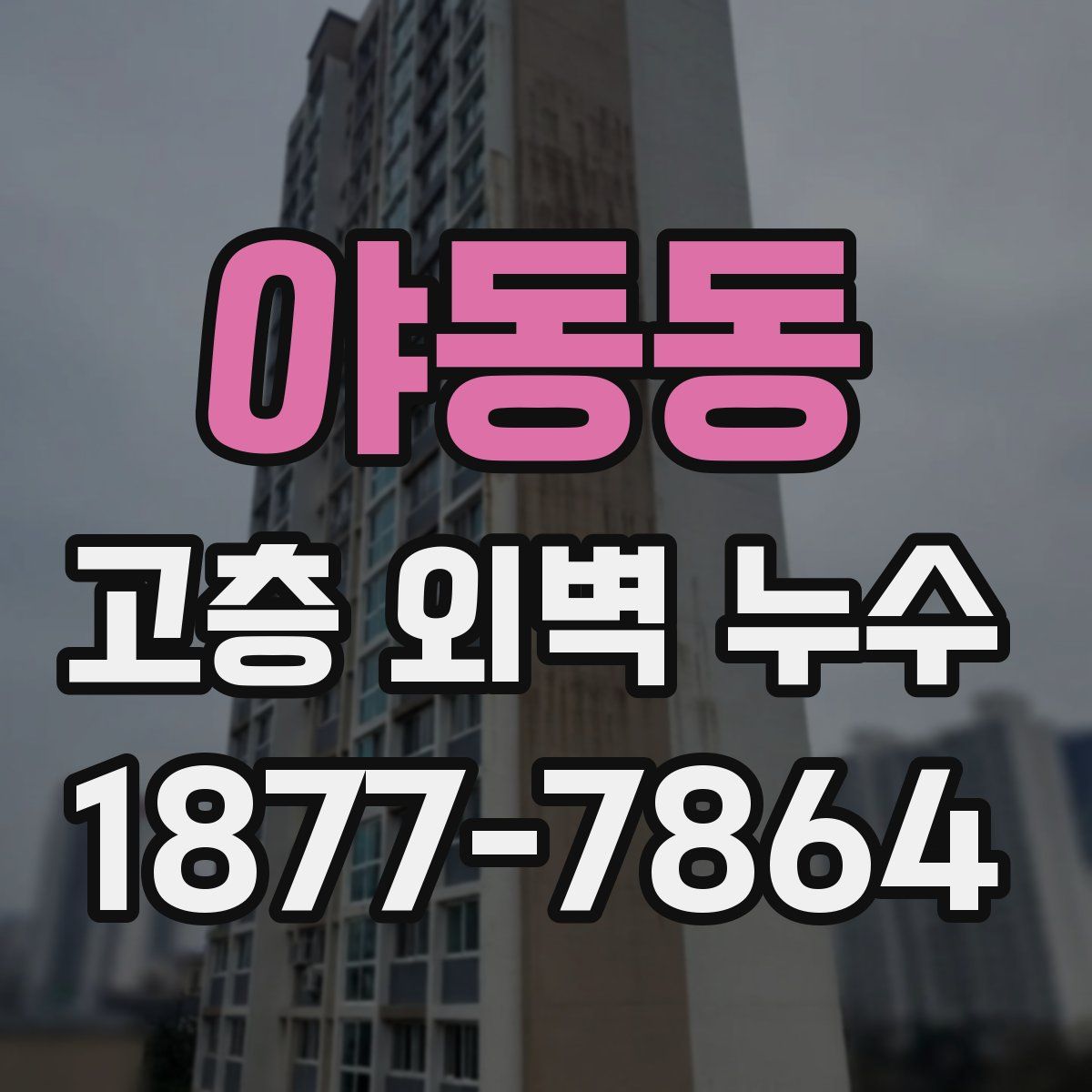 야동동 고층 외벽 누수