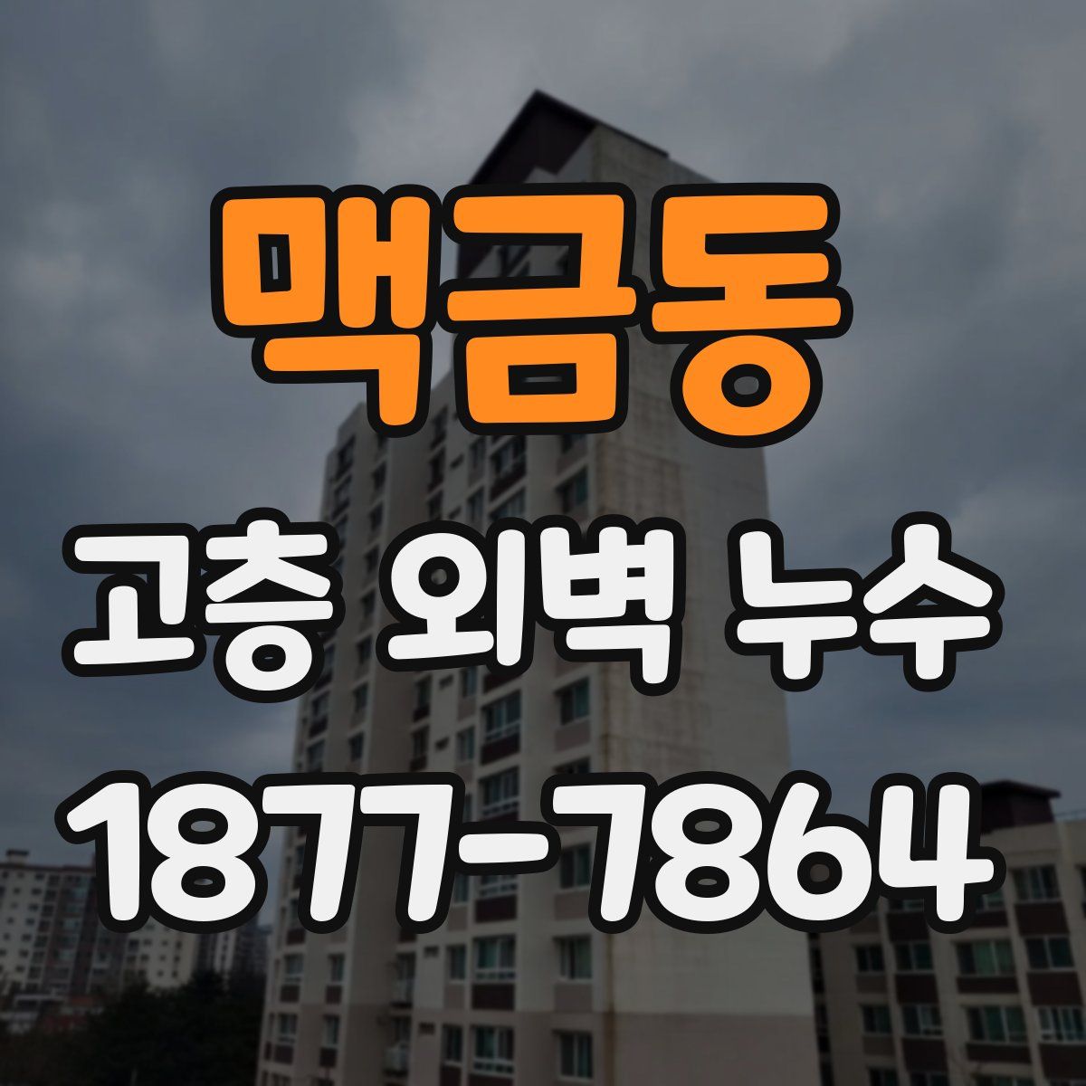 맥금동 고층 외벽 누수