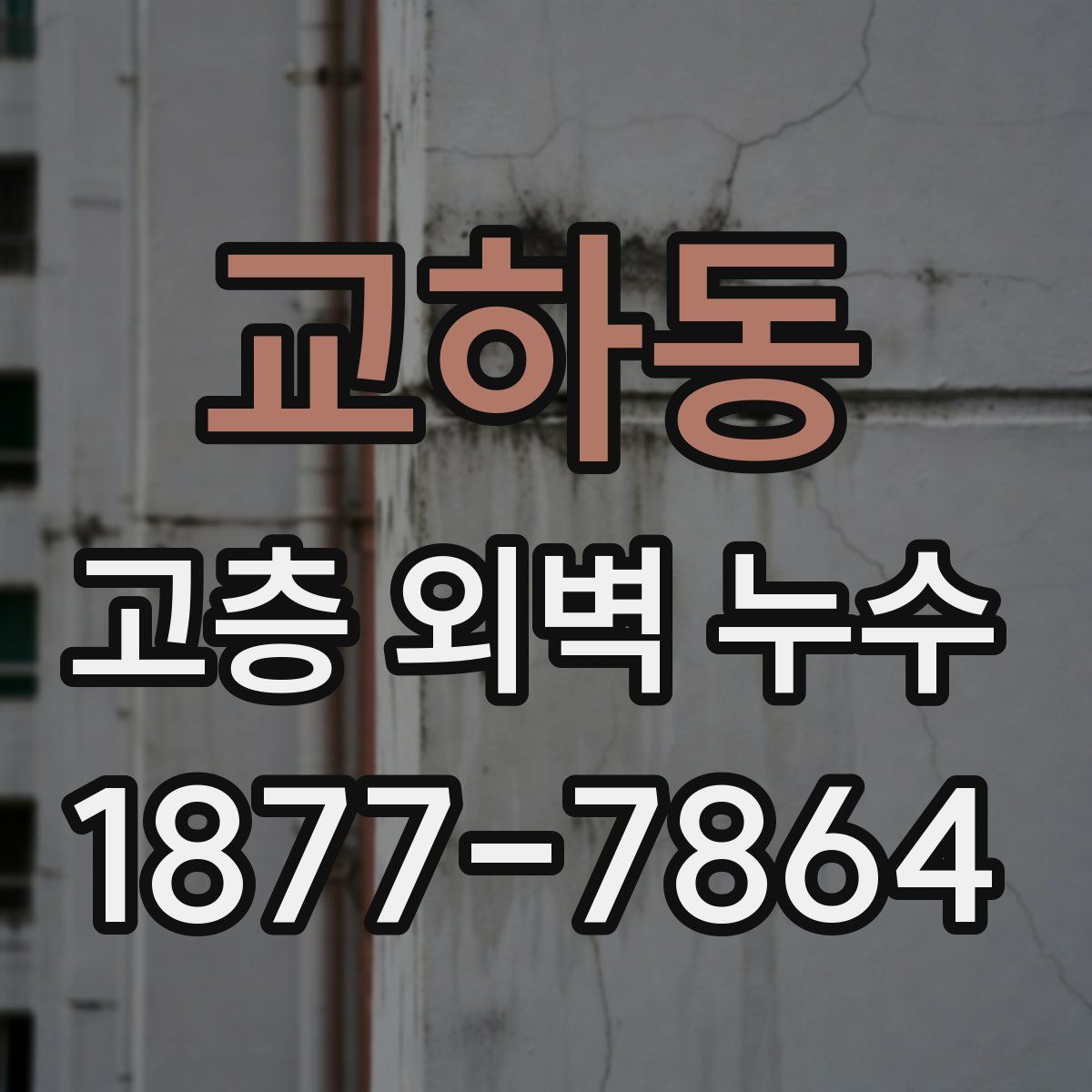 교하동 고층 외벽 누수