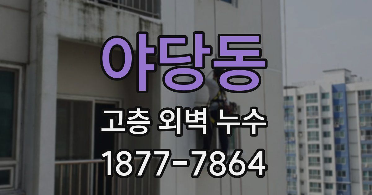 야당동 고층 외벽 누수