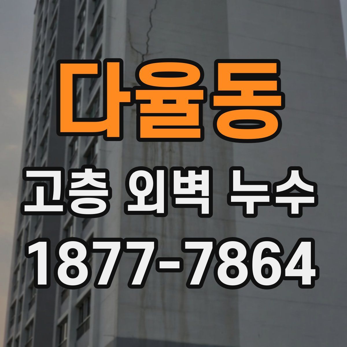 다율동 고층 외벽 누수