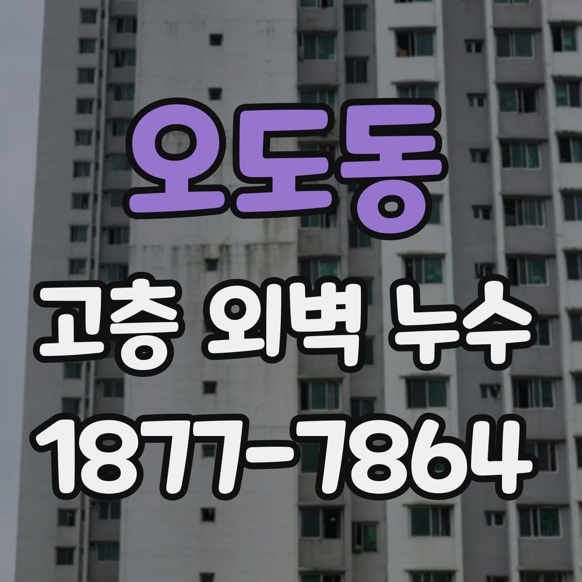 오도동 고층 외벽 누수 점검 시 자주 묻는 질문