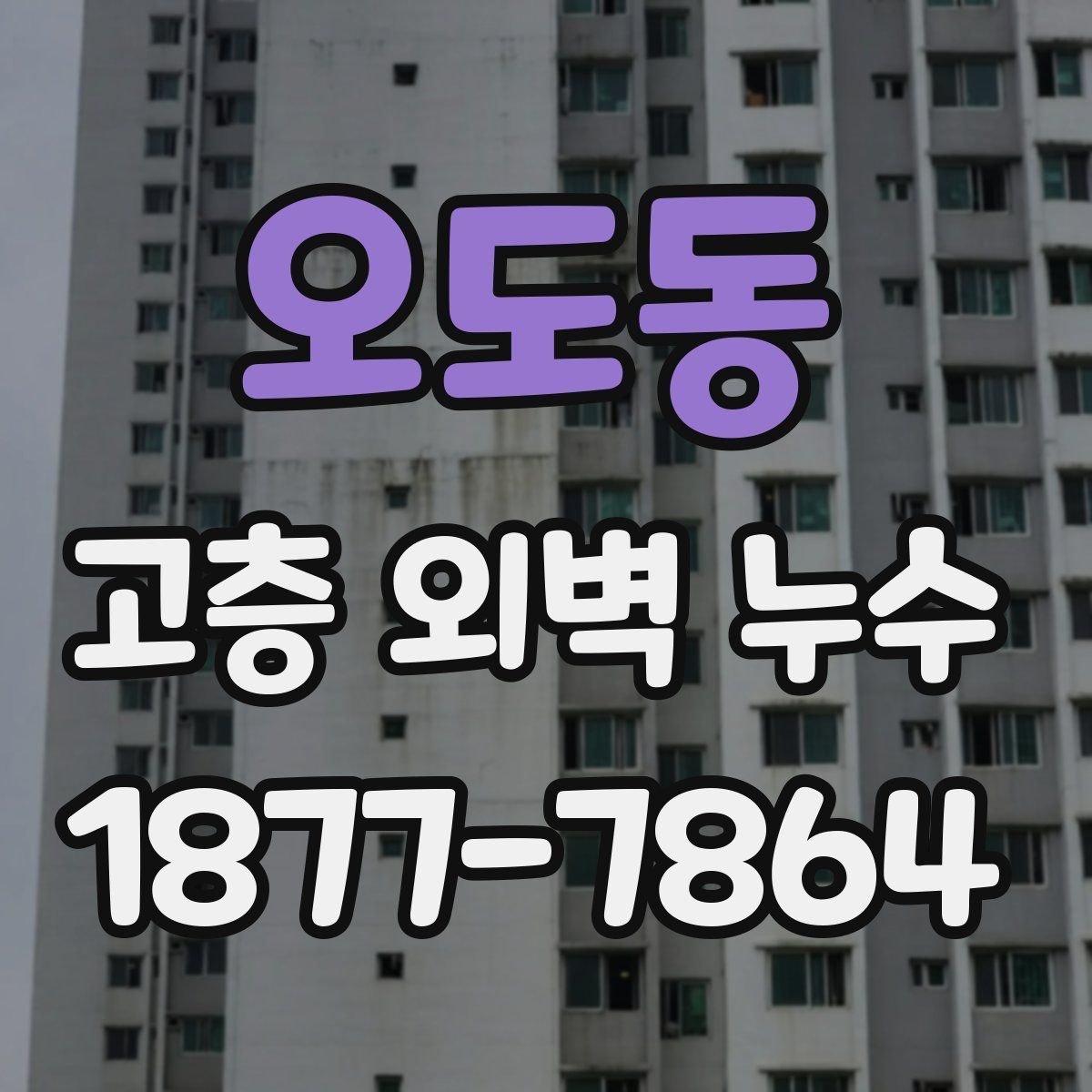 오도동 고층 외벽 누수