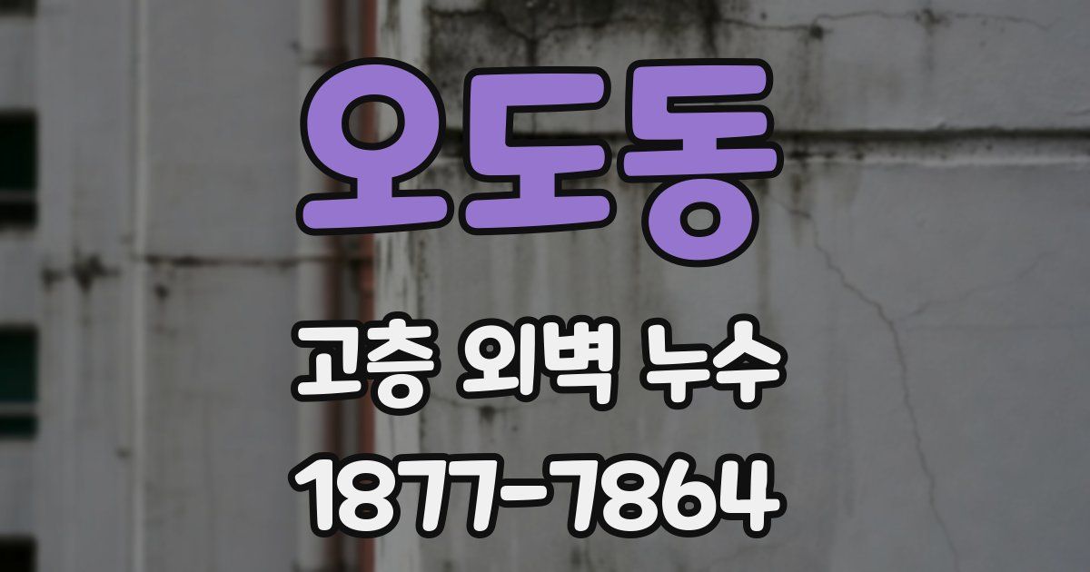 오도동 고층 외벽 누수