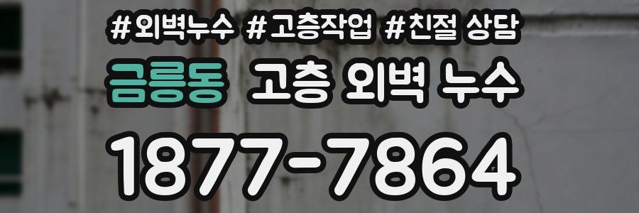 금릉동 고층 외벽 누수