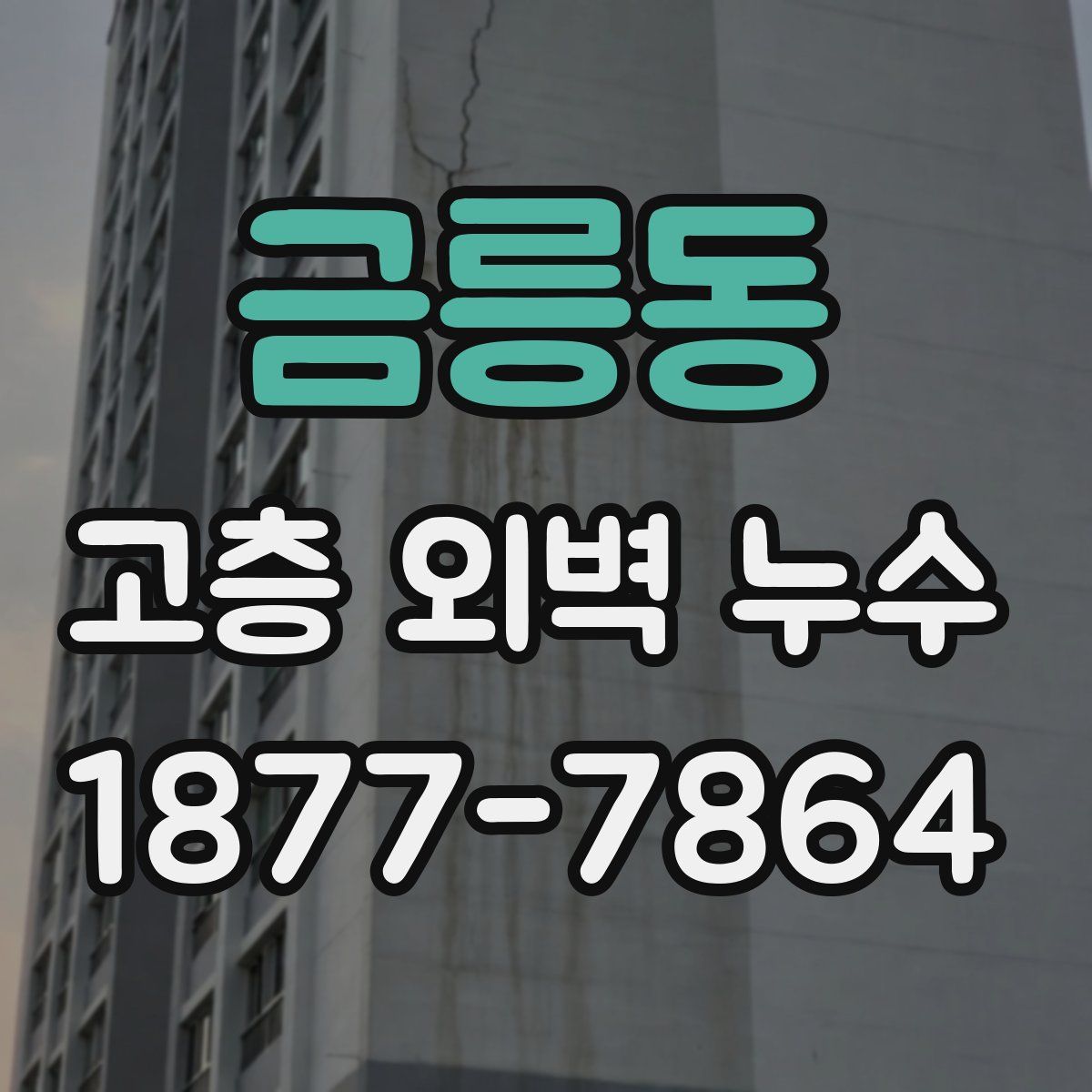 금릉동 고층 외벽 누수