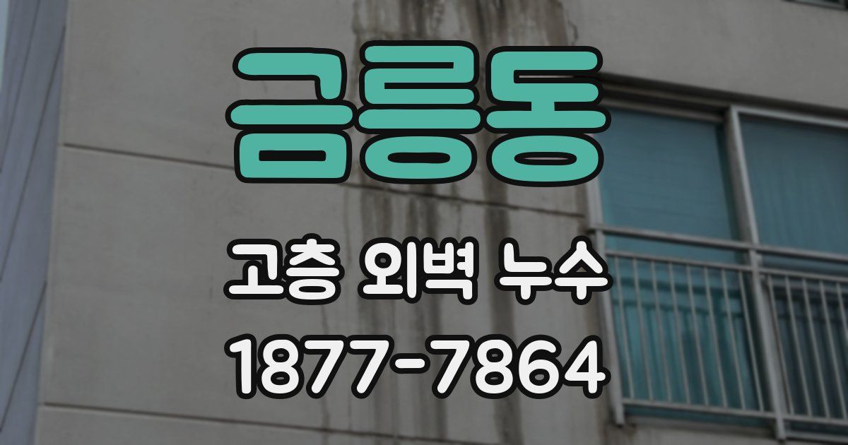 금릉동 고층 외벽 누수