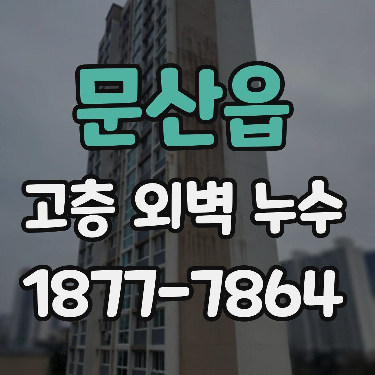 문산읍 고층 외벽 누수