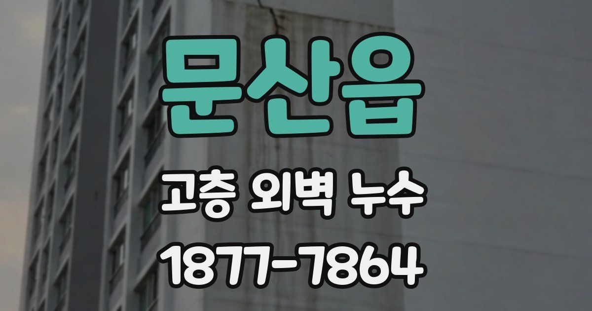 문산읍 고층 외벽 누수