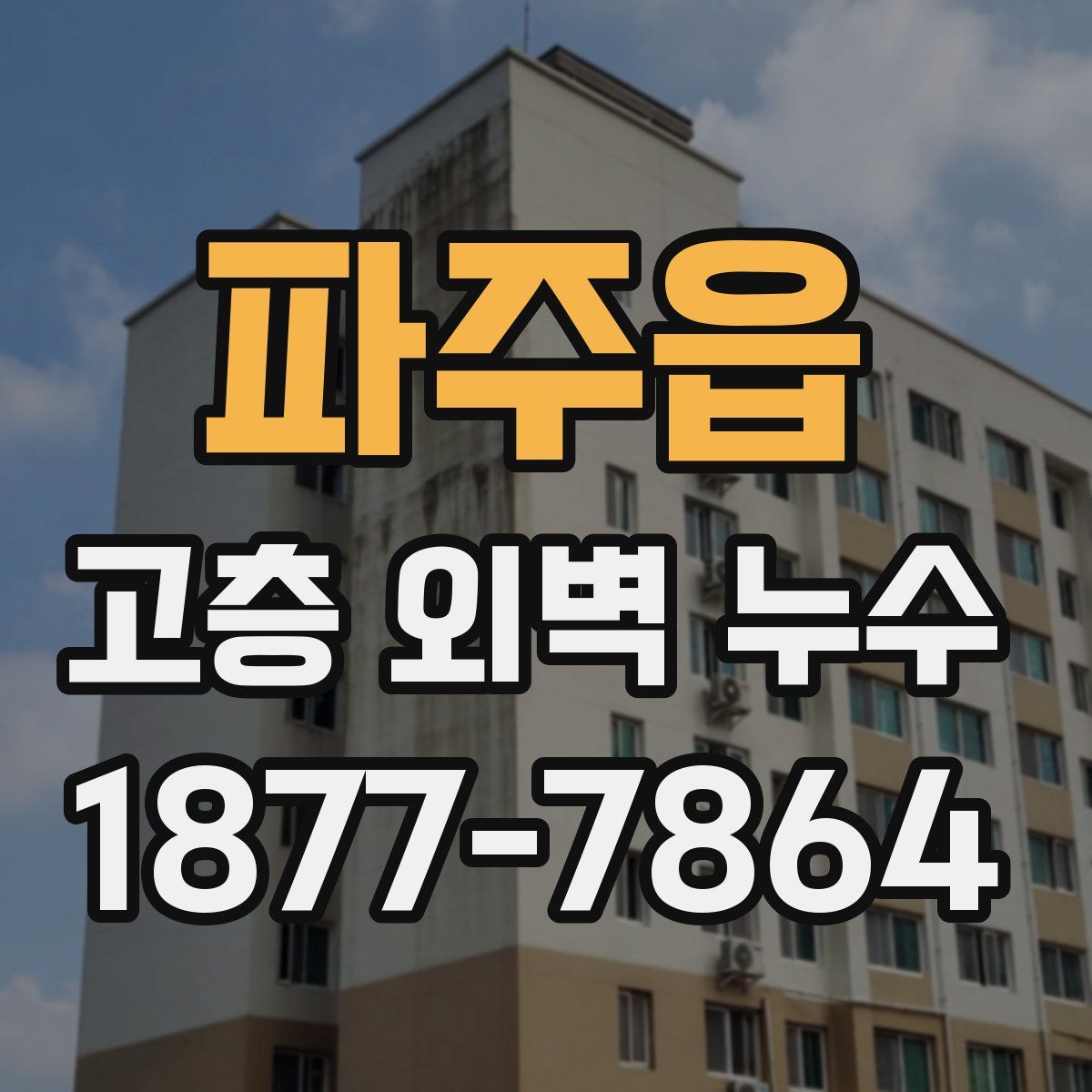 파주읍 고층 외벽 누수