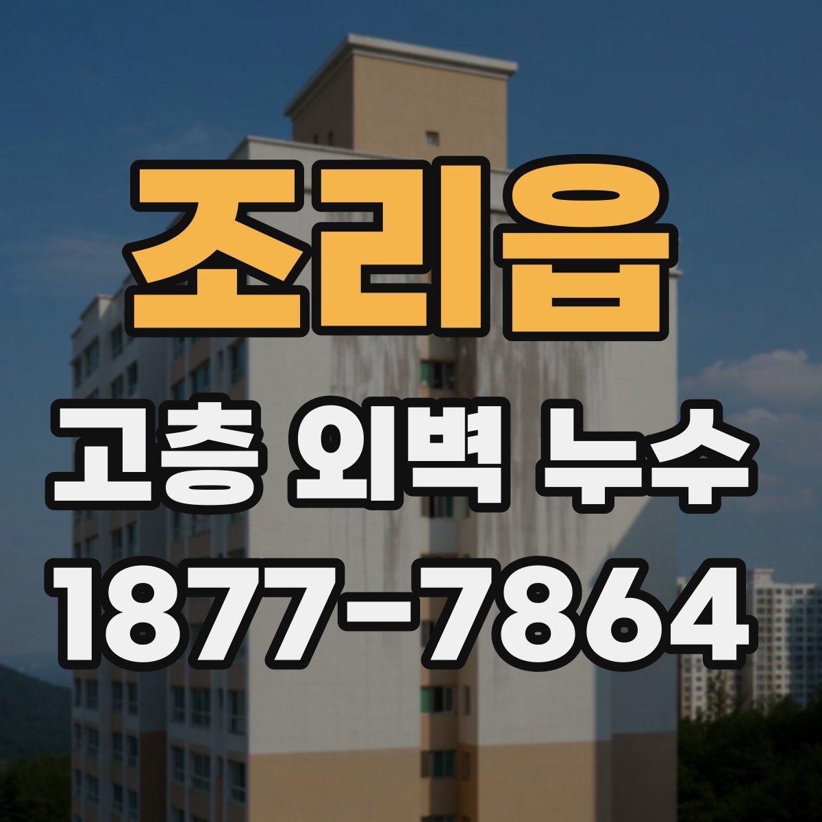 조리읍 고층 외벽 누수
