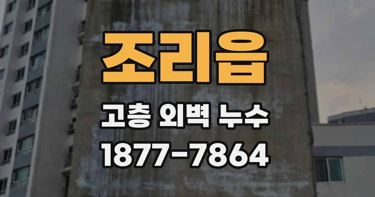 조리읍 고층 외벽 누수