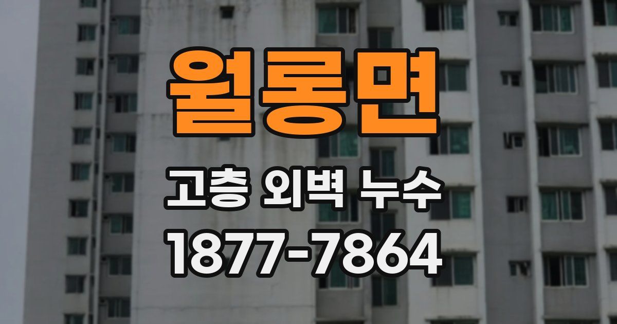 월롱면 고층 외벽 누수