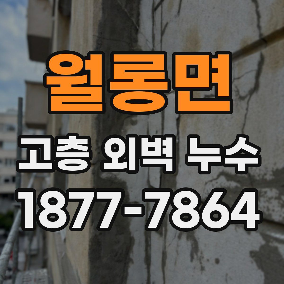 월롱면 고층 외벽 누수
