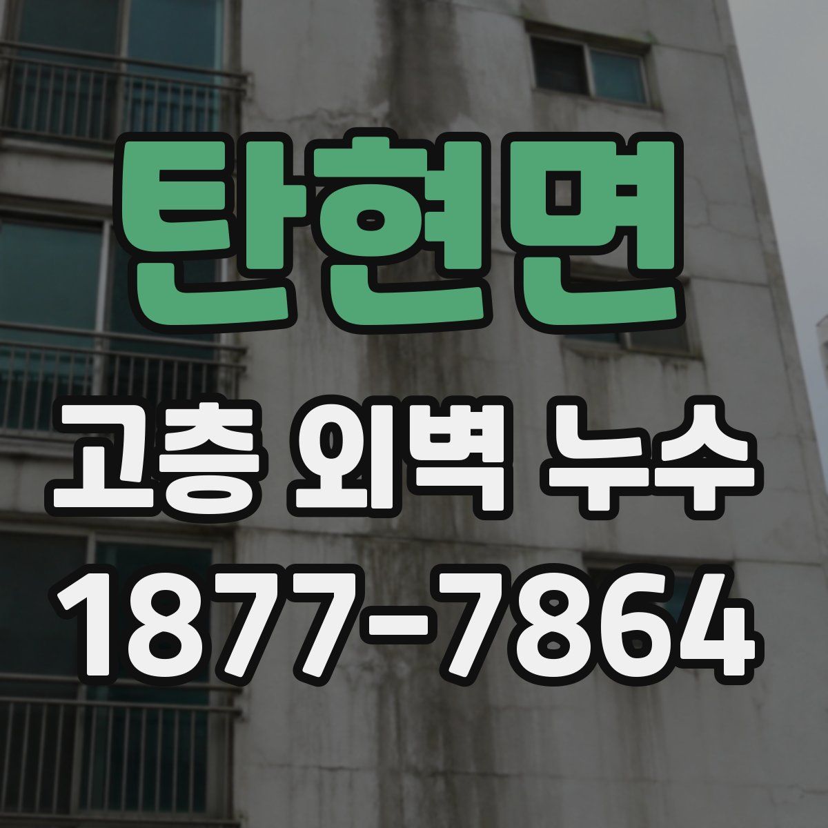 탄현면 고층 외벽 누수